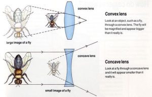 Difference between convex and concave lens