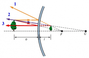 Image formation in the convex mirror.