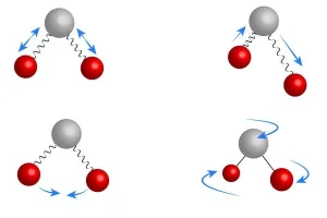 The figure outlines some possibilities of movement that molecules make.