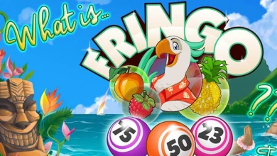 Fringo Bingo Apk Free Download For Android