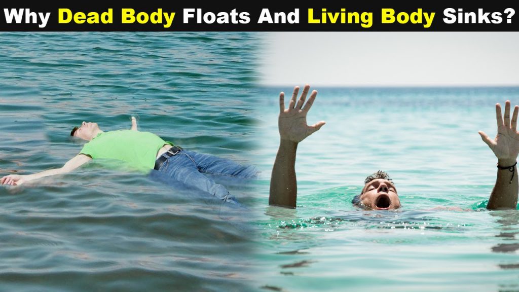 Why do Body Float?